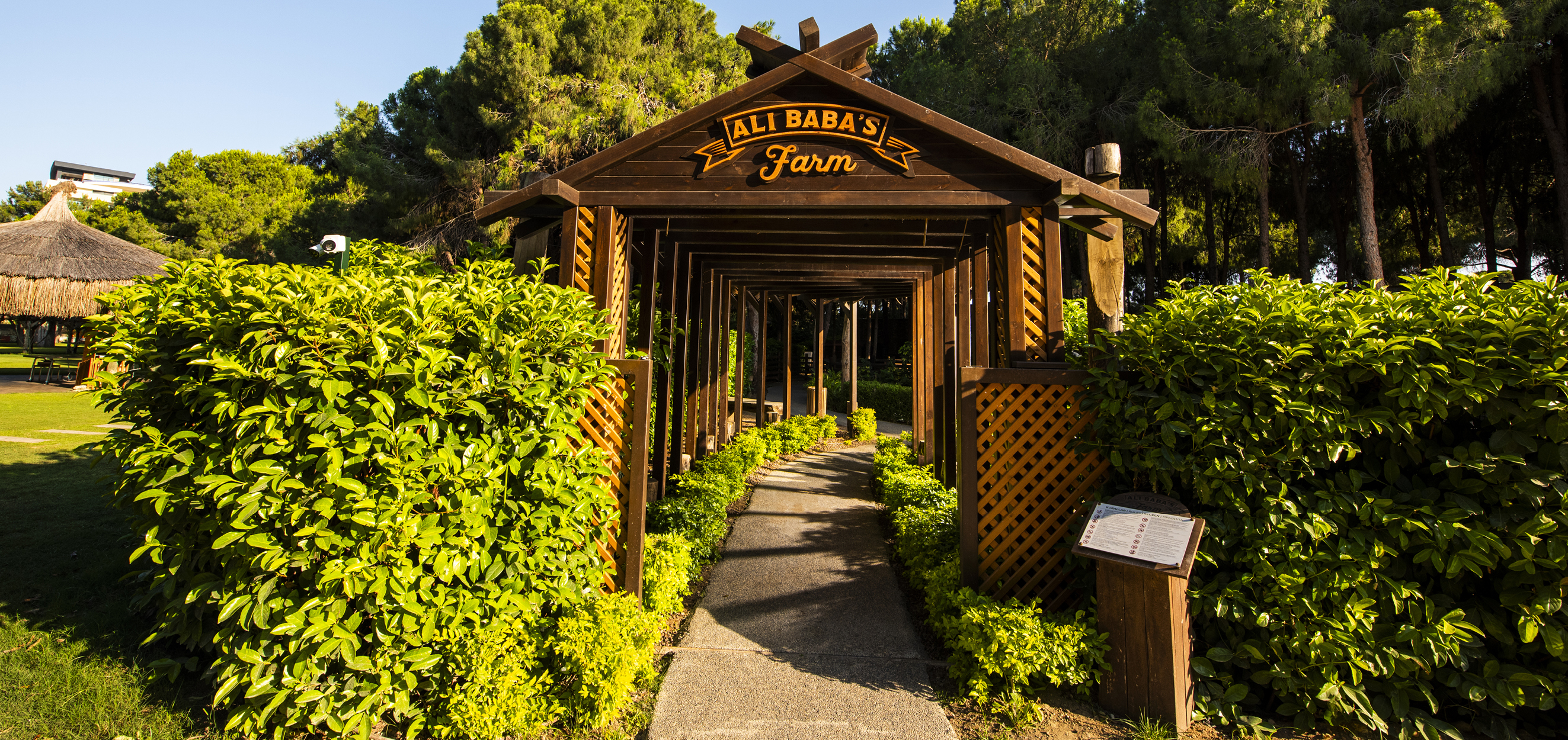 Ali Baba Entrance 1270 X 600